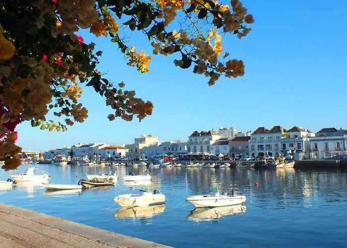 Casa Pink Flamingo Spacious Town Centre فيلة تافيرا